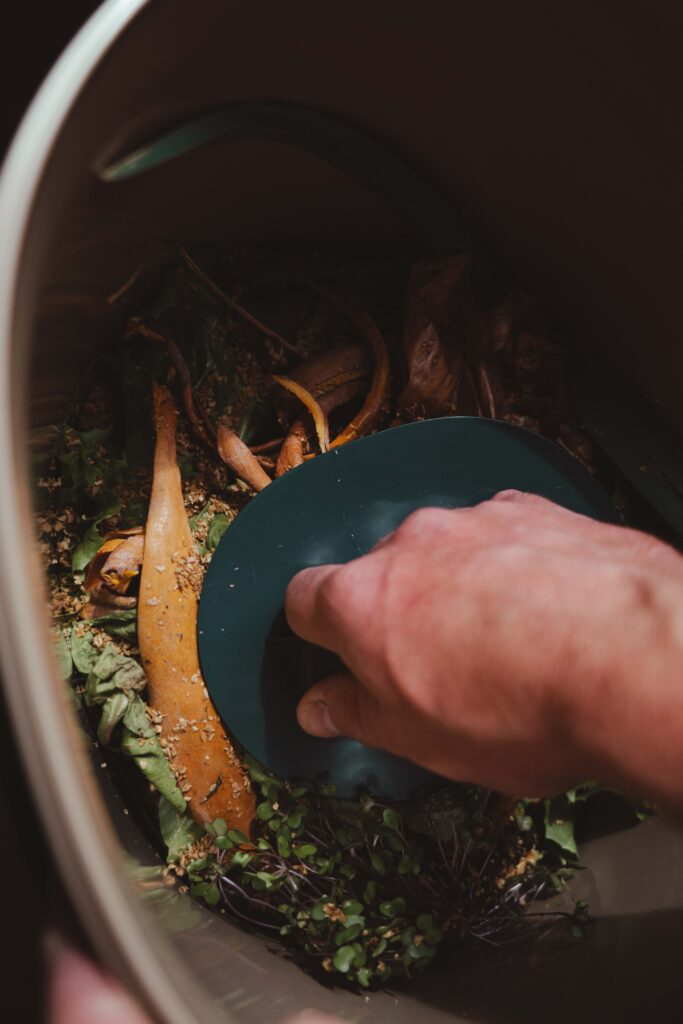 resturi organice in composter compostare acasa